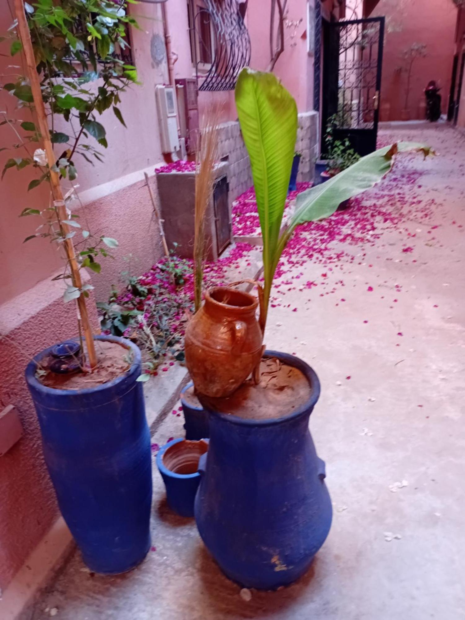 Riad Le Shams Marrakesch Exterior foto