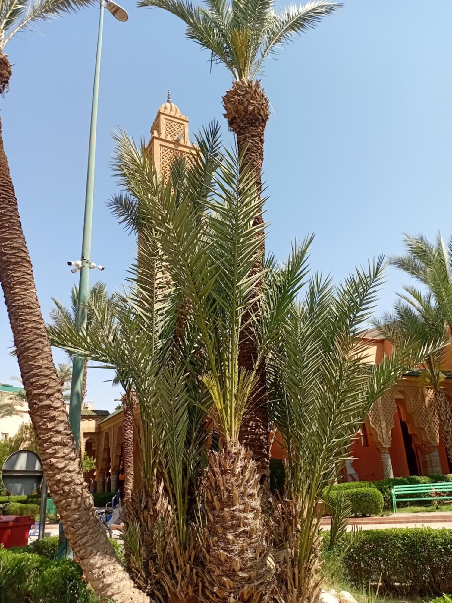 Riad Le Shams Marrakesch Exterior foto